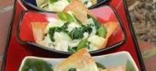 spinach, artichoke and crab wontons