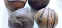 sweet sierra truffles