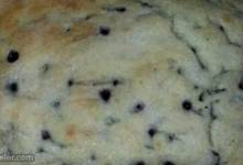 alice's easy blueberry cake