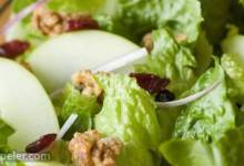 Apple Walnut Salad with Cranberry Vinaigrette