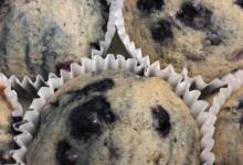 best 100 calorie blueberry muffins
