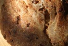 cranberry pecan bread