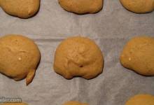 easy pumpkin chip cookies