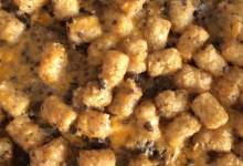 easy tater tot&#174; casserole