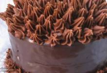 elizabeth's extreme chocolate lover's cake