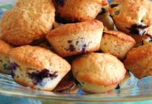 low-cholesterol blueberry muffins