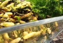 Mediterranean Orzo Spinach Salad