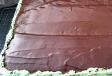 mint-chocolate chip cake