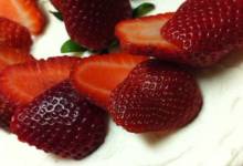 petra's strawberry shortcake