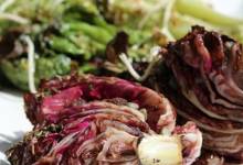 roasted lettuce, radicchio, and endive