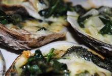 rockin' oysters rockefeller